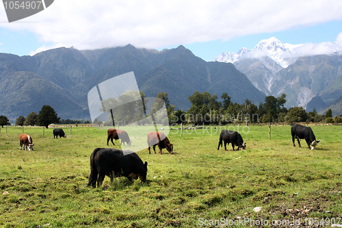 Image of New Zealand