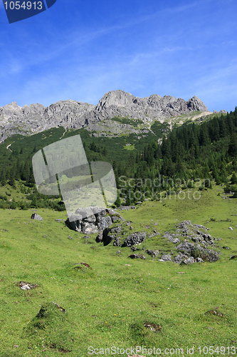 Image of Alpine meadow