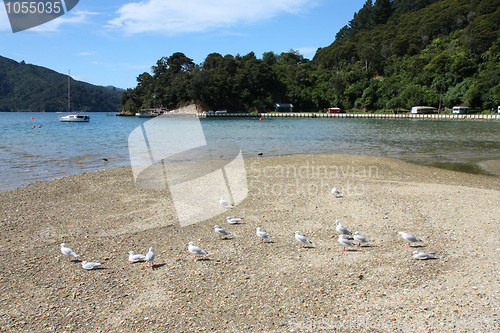 Image of Queen Charlotte Sound