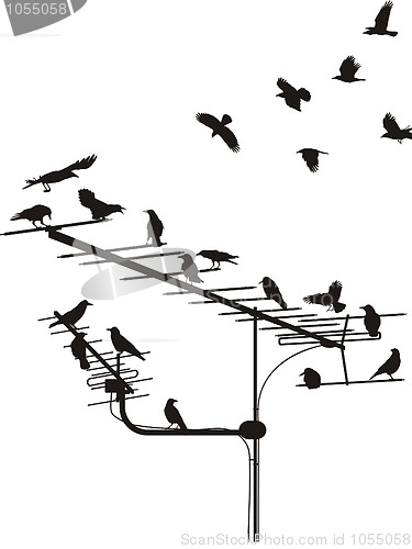 Image of Crows on the antenna
