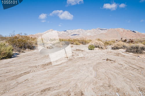 Image of Snowy field