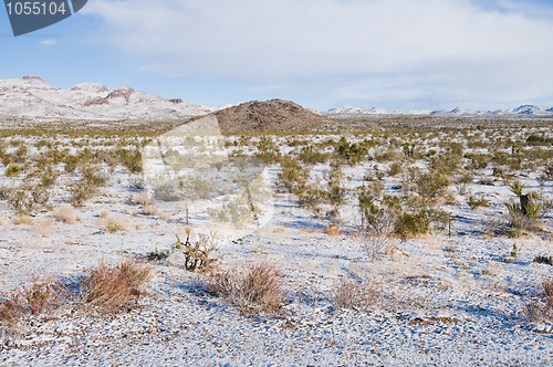 Image of Snowy field