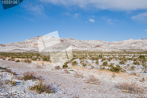 Image of Snowy field