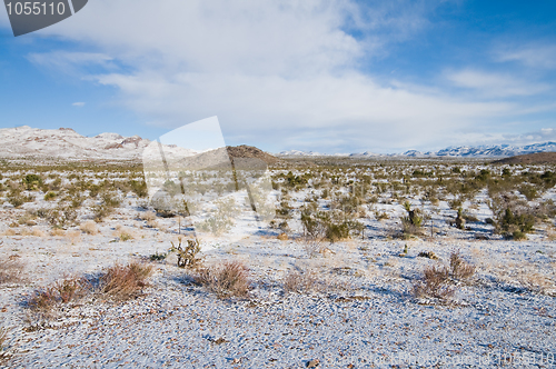 Image of Snowy field