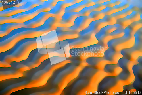 Image of Sand ripples