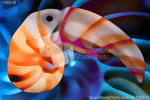 Image of Toucan prawn