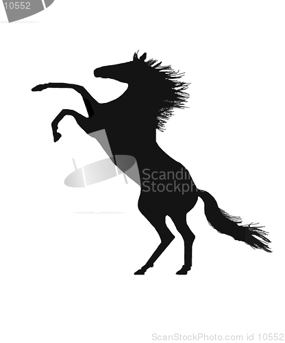 Image of A magnificent rearing stallion in silhouette