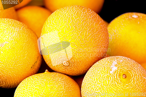 Image of Melons