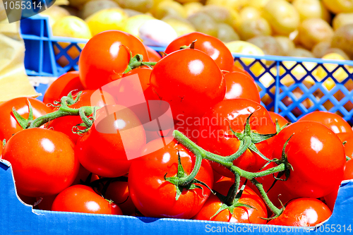 Image of Tomato