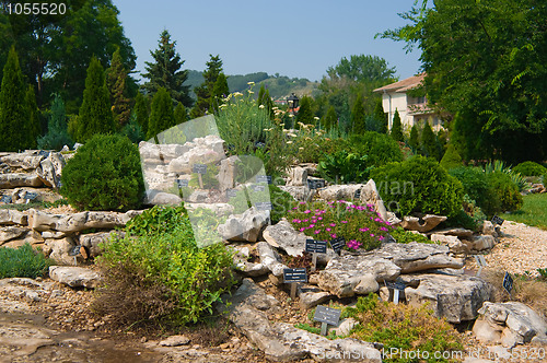 Image of  Alpine rock garden