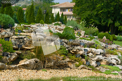 Image of  Alpine rock garden