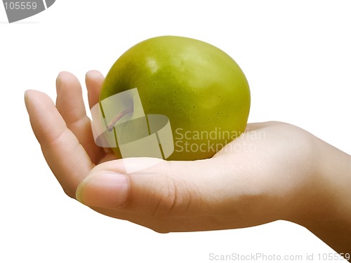 Image of forbidden fruit