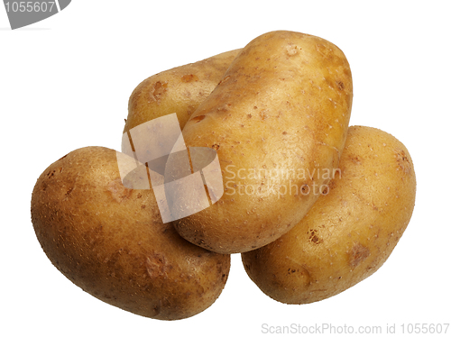 Image of Potatoes, isolated