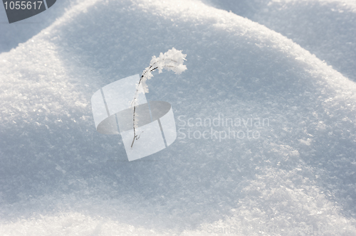 Image of Winter landscape