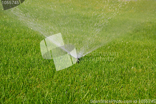 Image of grass sprinkler