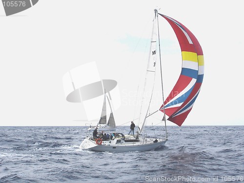 Image of Full Spinnaker