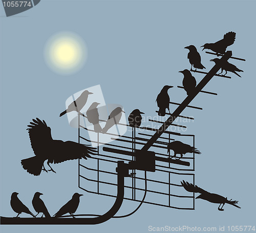 Image of Debate crows