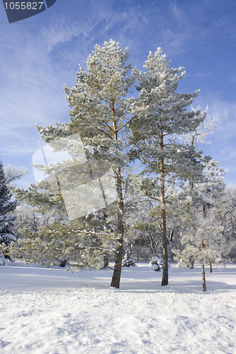 Image of Winter in Regina