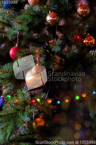 Image of Christmas fur-tree