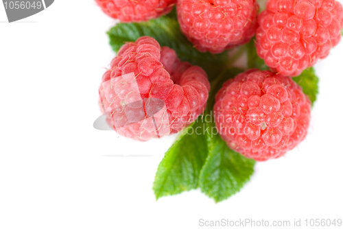 Image of fresh raspberry