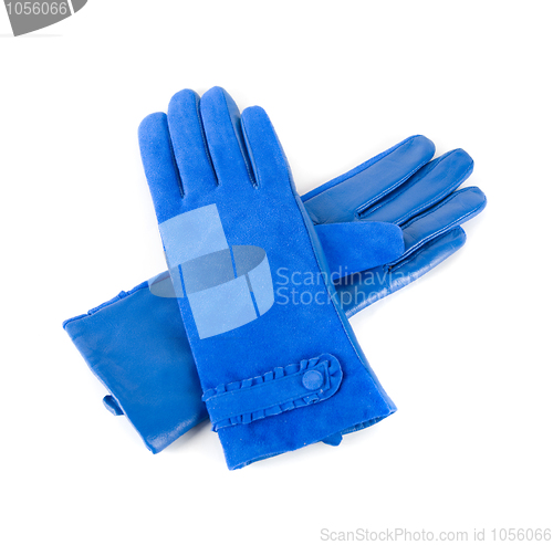 Image of female leather gloves