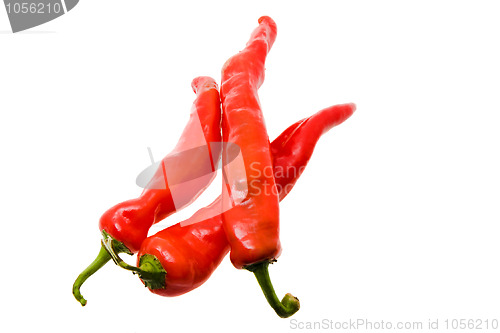 Image of Hot pepper (chili)