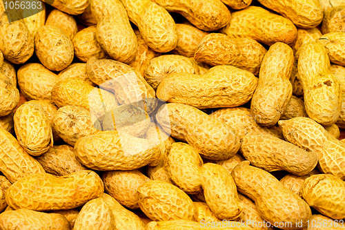 Image of Peanuts shells
