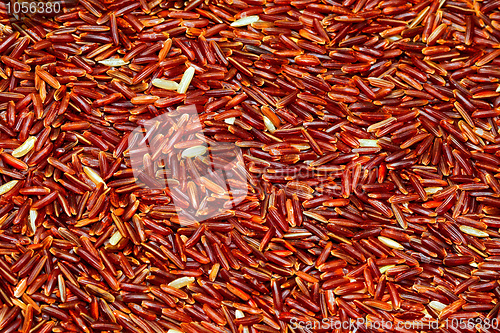 Image of Red rice pattern