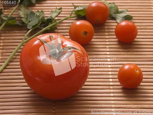 Image of Fresh tomatoes I