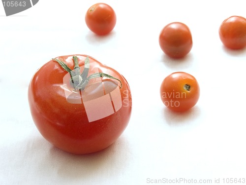 Image of Fresh tomatoes II