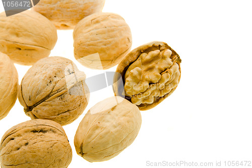 Image of Walnuts