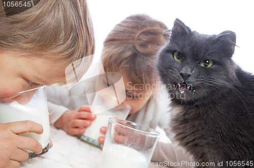 Image of children and cat drinking milk