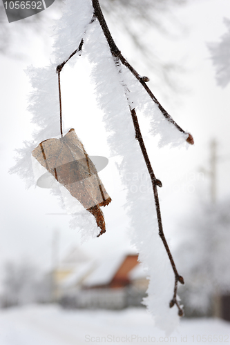 Image of Winter landscape