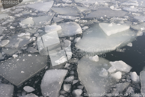 Image of Pack ice in January