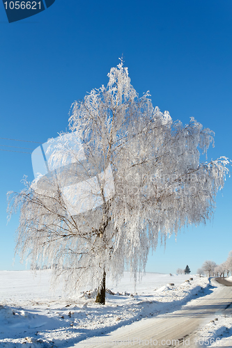 Image of Winter road on a sunny frosty day