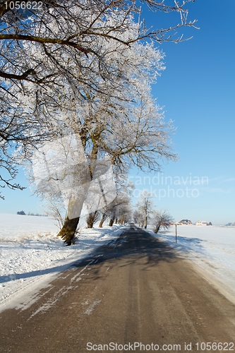 Image of Winter road on a sunny frosty day