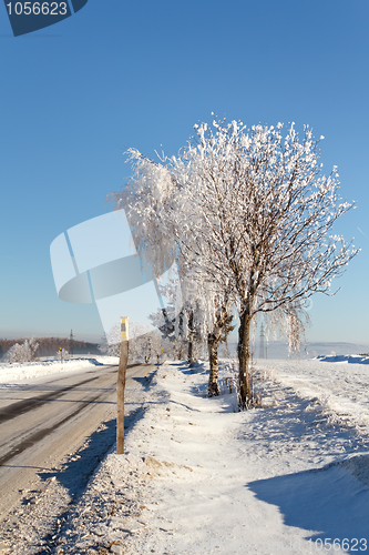 Image of Winter road on a sunny frosty day