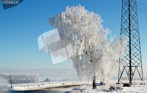 Image of Winter road on a sunny frosty day