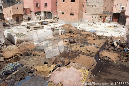 Image of Skins in a berber  tannery.