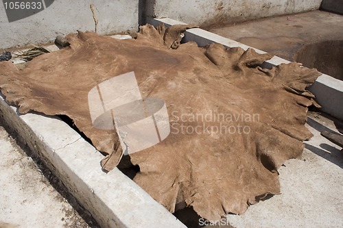 Image of Skin in a berber tannery