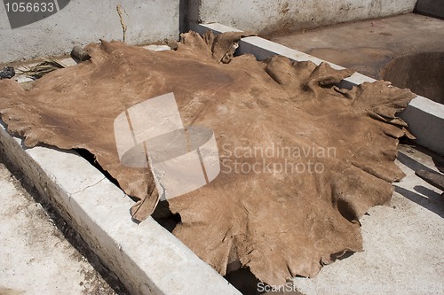 Image of Skin in a berber tannery