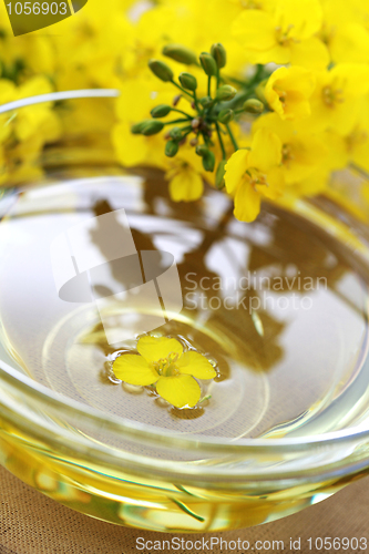 Image of edible oil