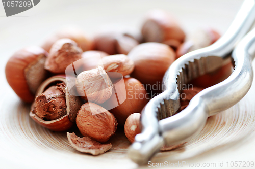 Image of hazelnuts