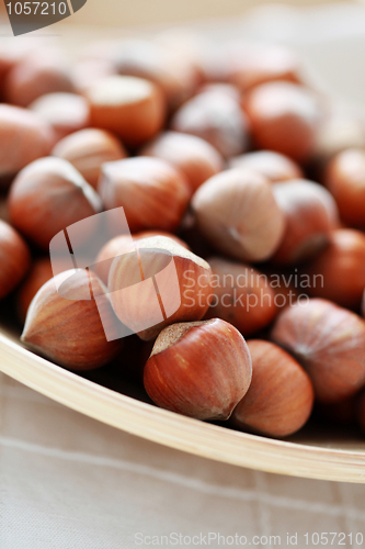 Image of hazelnuts