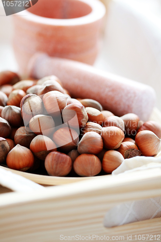 Image of hazelnuts