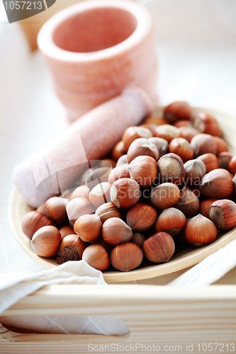 Image of hazelnuts