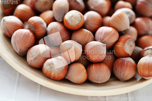Image of hazelnuts