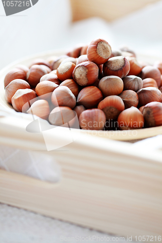 Image of hazelnuts