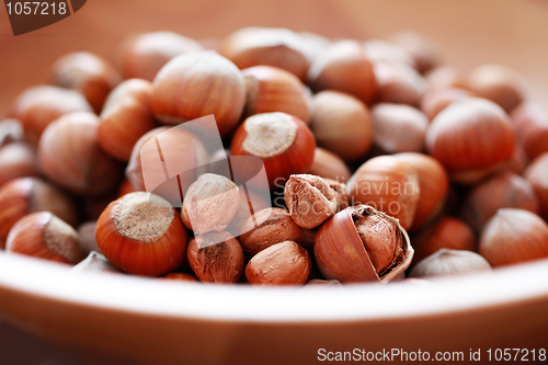 Image of hazelnuts