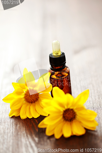 Image of flower essential oil